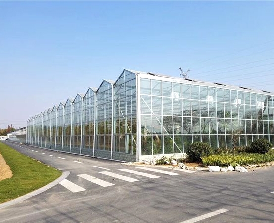 山西大同农业示范园