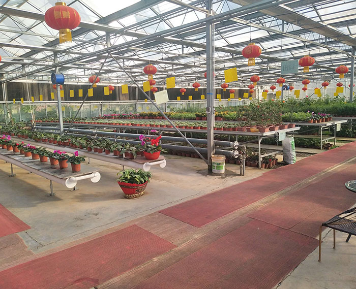 花卉温室大棚