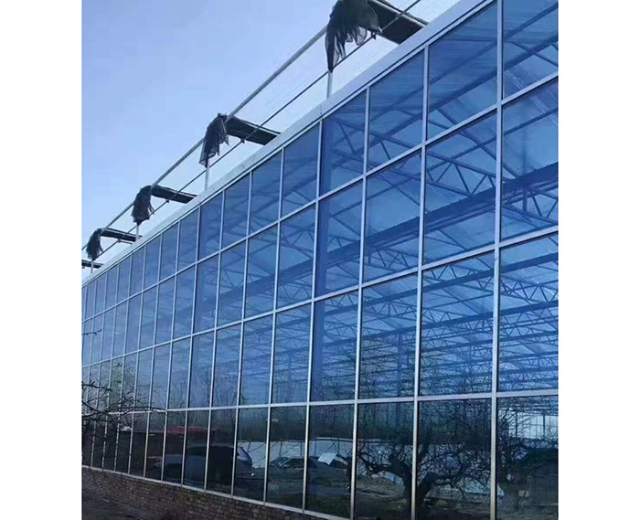 玻璃温室大棚