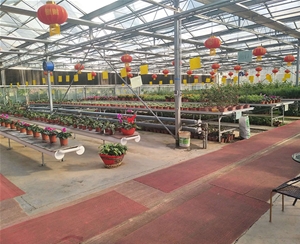 花卉温室大棚